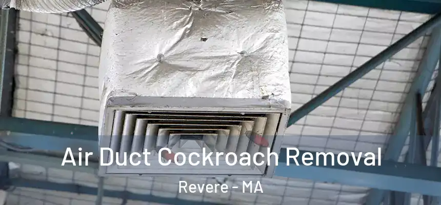 Air Duct Cockroach Removal Revere - MA