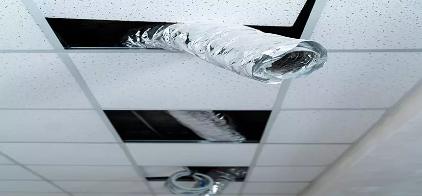 Our Air Duct Pet Hair Removal Services in Revere, MA