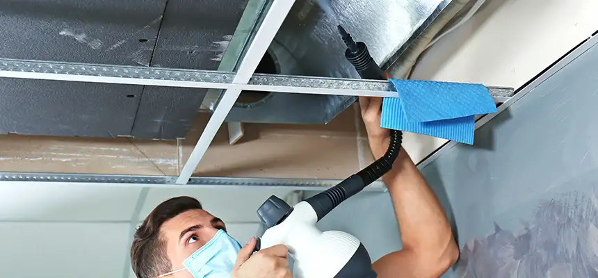 Our Air Duct Rodent Removal Services in Revere, MA