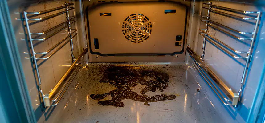 Our Dryer Vent Mold Cleaning Services in Revere, MA