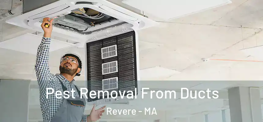 Pest Removal From Ducts Revere - MA