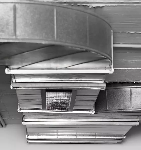 Professional Air Duct Pest Removal in Revere, MA