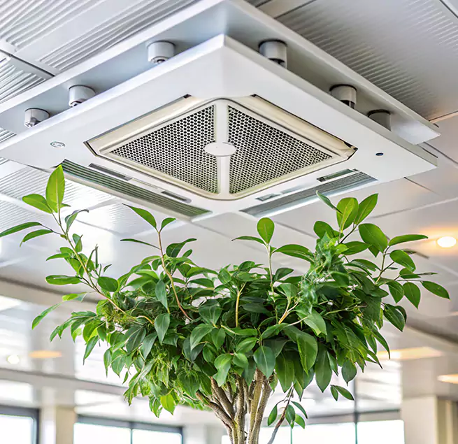 Why Homeowners & Businesses Trust Us in Revere, MA?